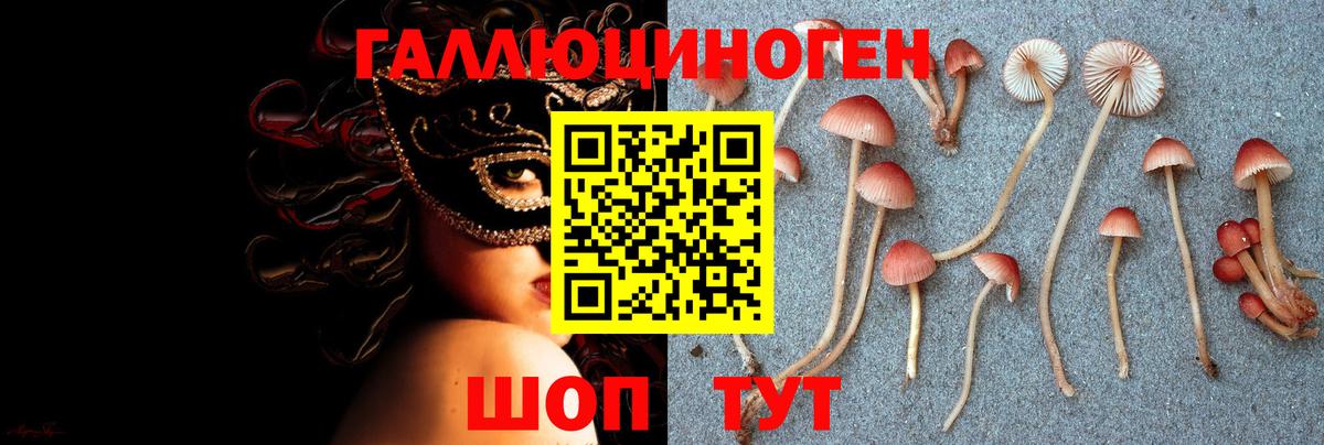 Псилоцибиновые грибы MAGIC MUSHROOMS Топки